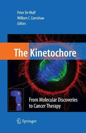 The Kinetochore: