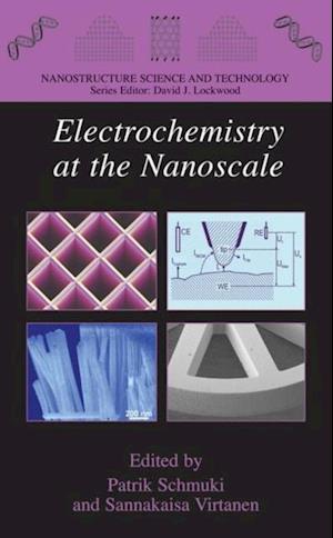 Electrochemistry at the Nanoscale