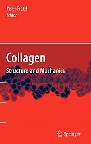 Collagen