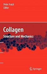 Collagen