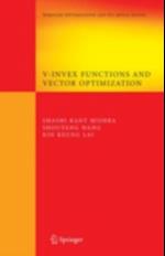 V-Invex Functions and Vector Optimization