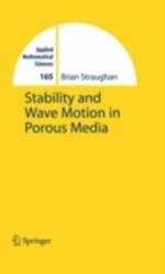 Stability and Wave Motion in Porous Media