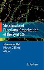 Structural and Functional Organization of the Synapse