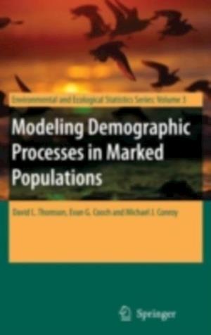 Modeling Demographic Processes in Marked Populations