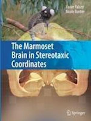 The Marmoset Brain in Stereotaxic Coordinates [With CDROM]