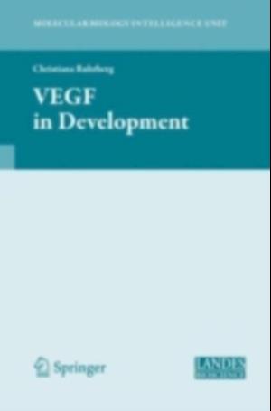 VEGF in Development