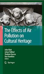 Effects of Air Pollution on Cultural Heritage
