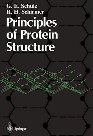 Principles of Protein Structure