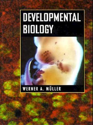 Developmental Biology