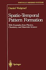 Spatio-Temporal Pattern Formation