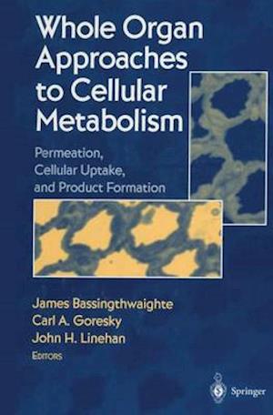 Whole Organ Approaches to Cellular Metabolism