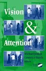 Vision and Attention
