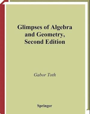 Glimpses of Algebra and Geometry