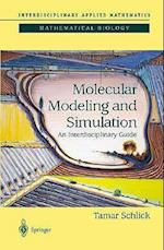 Molecular Modeling and Simulation