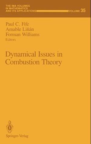 Dynamical Issues in Combustion Theory