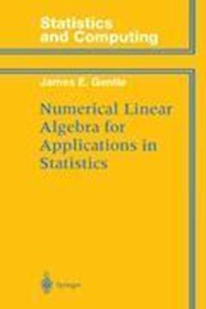 Numerical Linear Algebra for Applications in Statistics