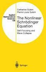 The Nonlinear Schrödinger Equation