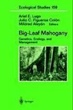 Big-Leaf Mahogany