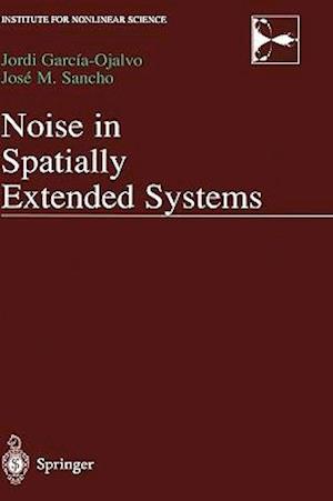 Noise in Spatially Extended Systems