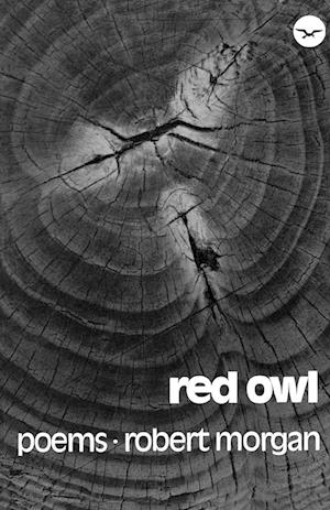 Red Owl