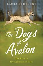 The Dogs of Avalon