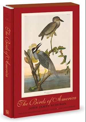 The Birds of America