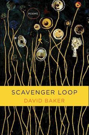 Scavenger Loop