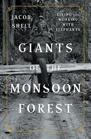 Giants of the Monsoon Forest