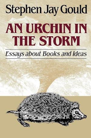 Urchin in the Storm