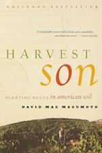 Harvest Son