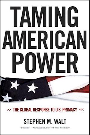 Taming American Power