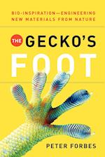 The Gecko's Foot