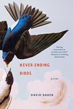 Never-Ending Birds
