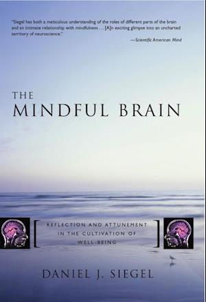 The Mindful Brain