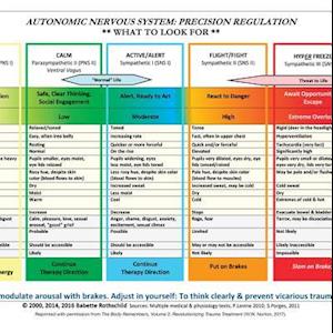 Autonomic Nervous System Table