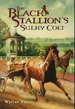The Black Stallion's Sulky Colt