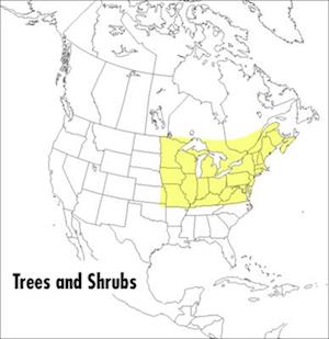 A Field Guide to Trees and Shrubs