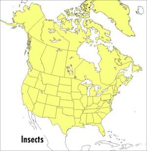 Field Guide to Insects