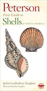 Shells of North America