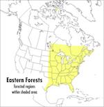 A Peterson Field Guide to Eastern Forests