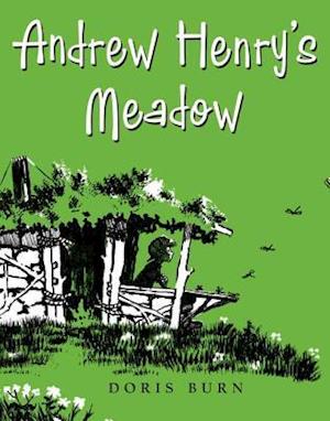 Andrew Henry's Meadow