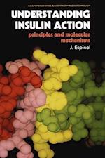 Understanding Insulin Action
