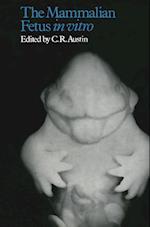 The Mammalian Fetus in vitro