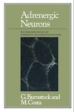 Adrenergic Neurons
