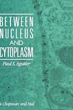 Between Nucleus and Cytoplasm