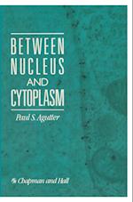 Between Nucleus and Cytoplasm