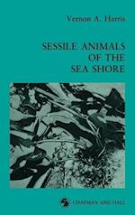 Sessile Animals of the Sea Shore