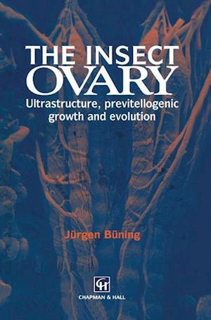 The Insect Ovary