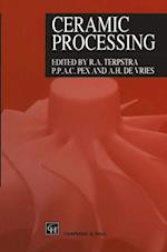 Ceramic Processing