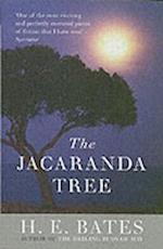 Jacaranda Tree, The